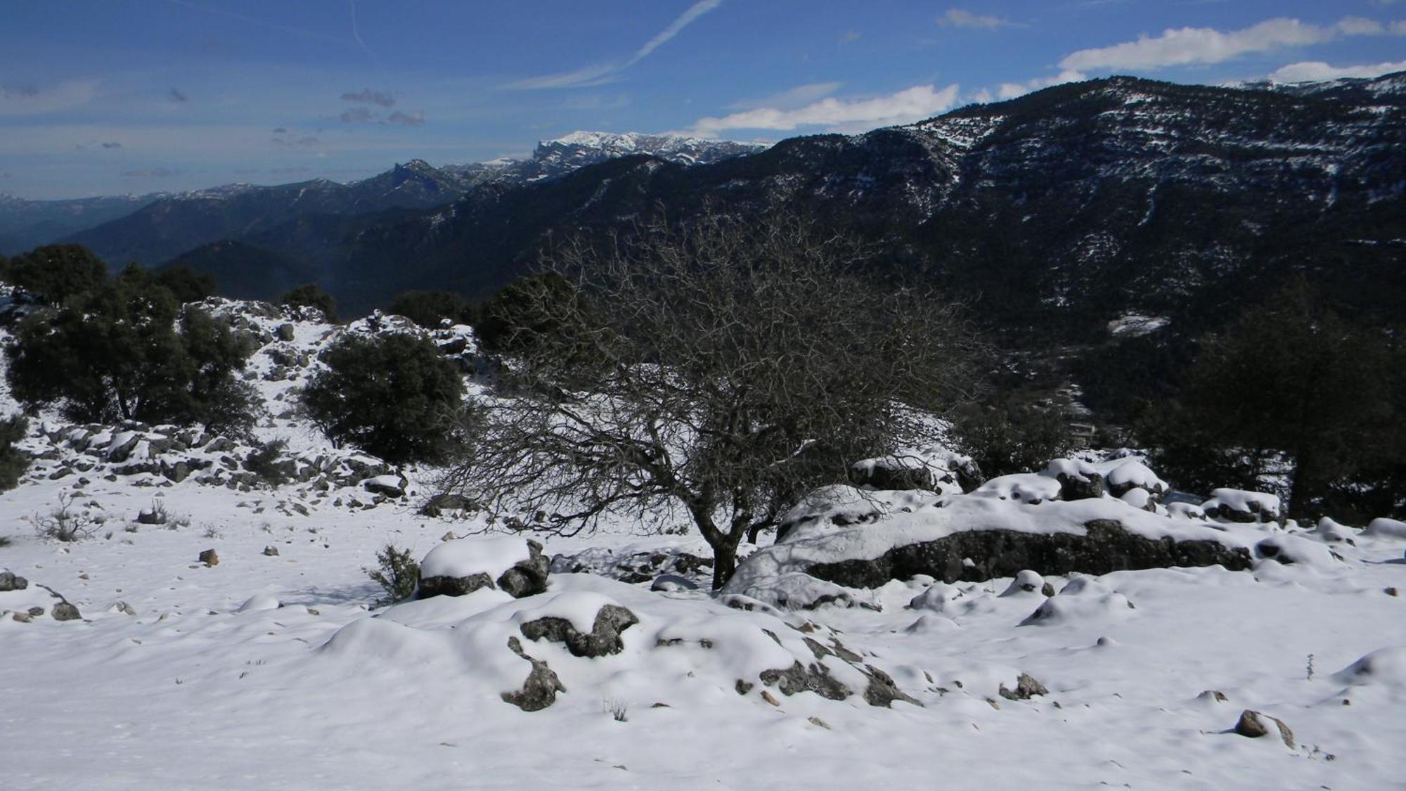 Casa Rural Fuente Zagrilla Dış mekan fotoğraf